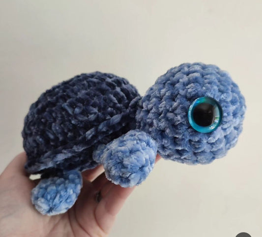 Terry the Turtle